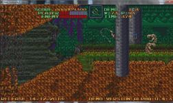 photo d'illustration pour le dossier:Super Castlevania IV Reborn